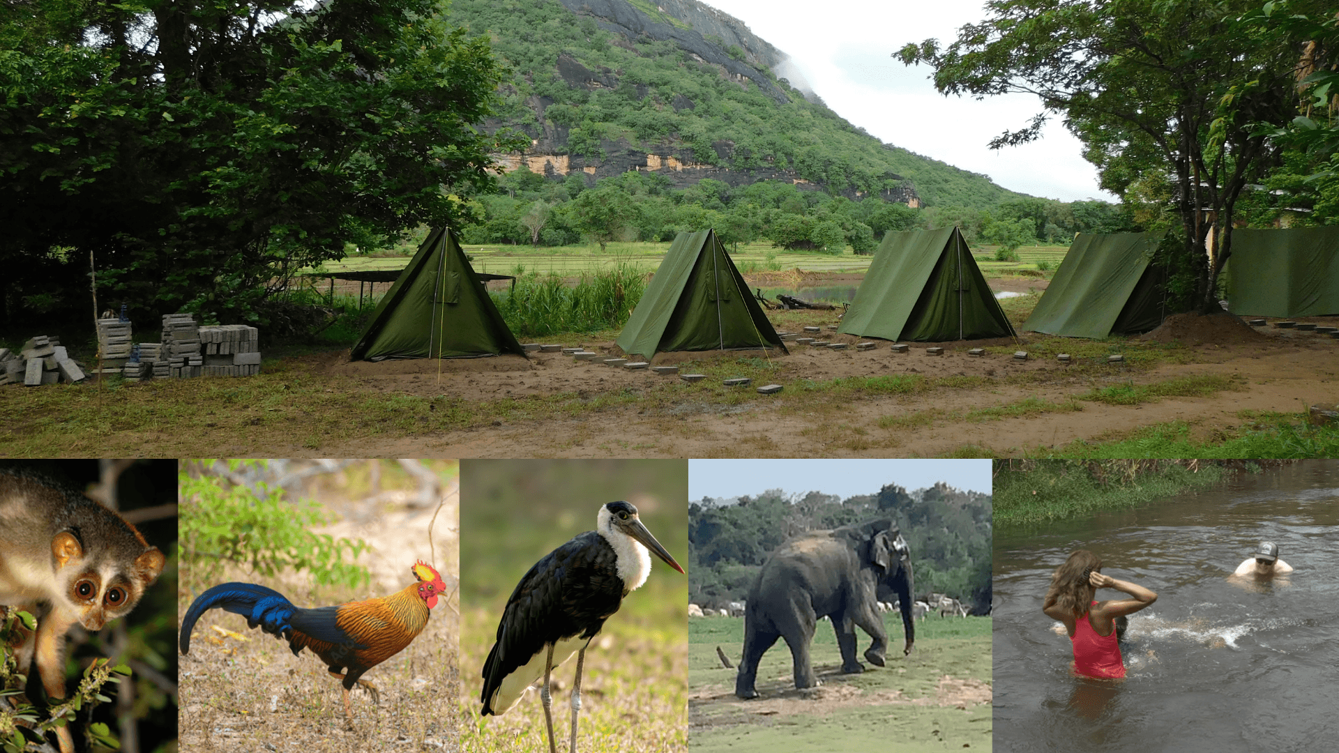 Dimbulagala Sanctuary